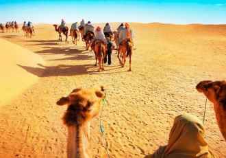 Camel Riding Safari Dubai